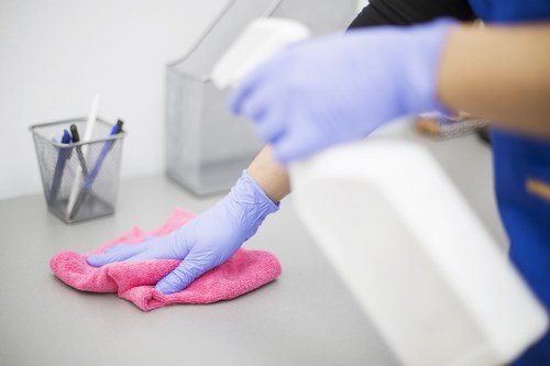 Professional carpet cleaning service terms and conditions document