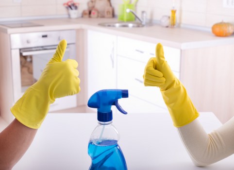 Carpet cleaners in NW1 preparing a final estimate