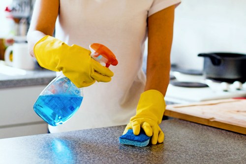 Professional carpet cleaners NW1 introducing company values