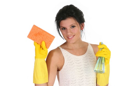 Professional oven cleaning service for homes and businesses in NW1