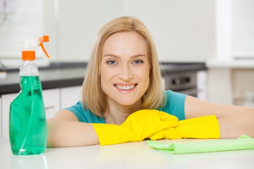Detailed bathroom cleaning for a home in NW1