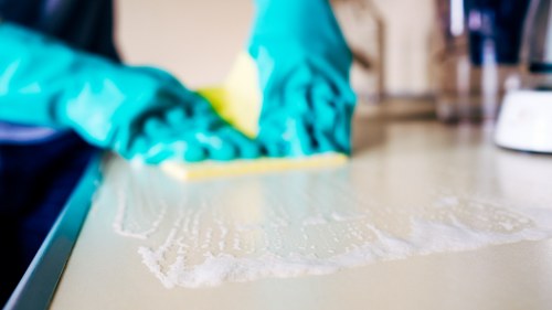 Professional pet stain odour removal treatment in an NW1 carpeted home