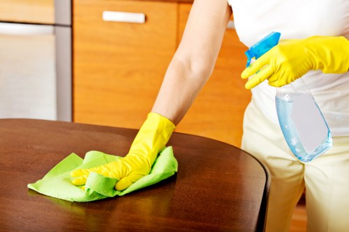 Specialist cleaning for tile and stone floors in NW1