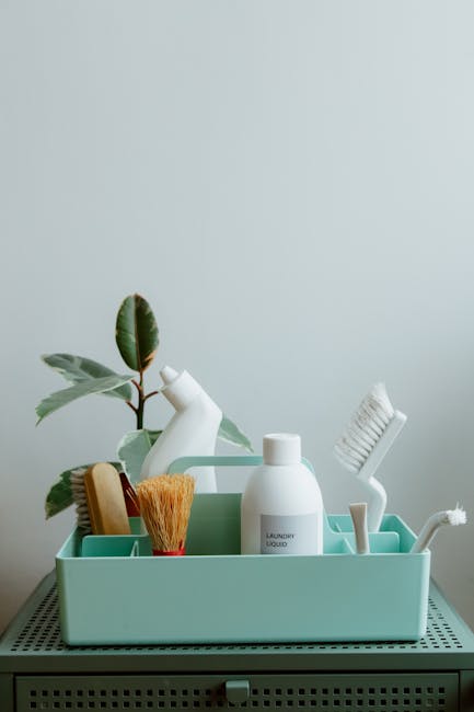 A light blue dustpan and a wooden-handled scrubbing brush with beige bristles hanging on a white textured wall, illuminated by soft natural light, indicating a clean and organized domestic cleaning se